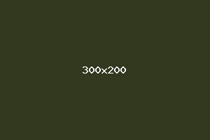 placeholder