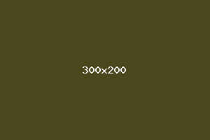 placeholder
