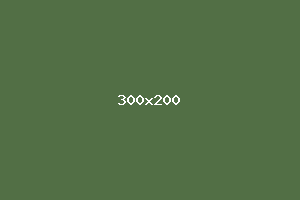 placeholder