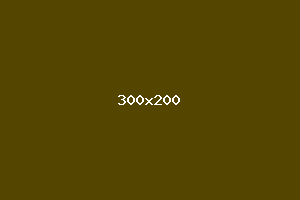 placeholder