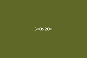 placeholder