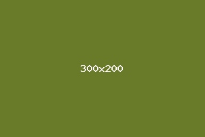 placeholder