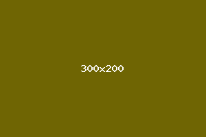 placeholder