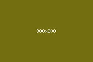 placeholder