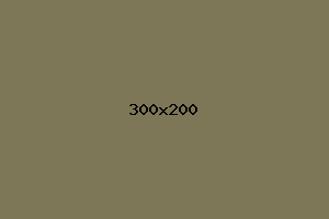 placeholder