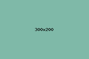 placeholder