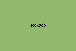 placeholder