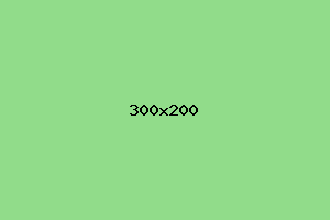 placeholder