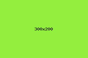 placeholder