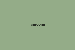 placeholder