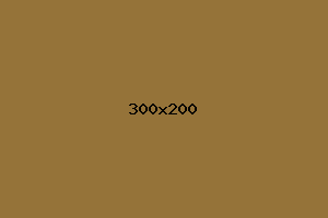 placeholder