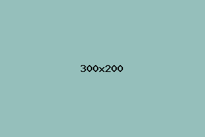 placeholder