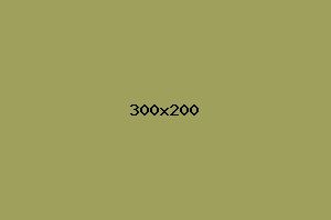 placeholder