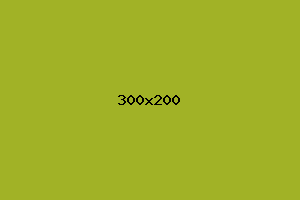 placeholder