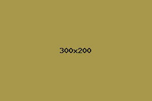 placeholder