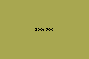 placeholder