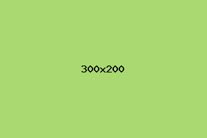 placeholder