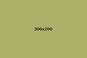 placeholder