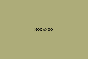 placeholder