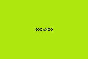 placeholder