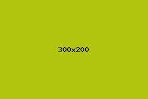placeholder