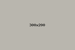 placeholder