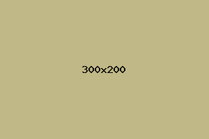 placeholder