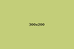 placeholder