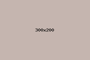 placeholder