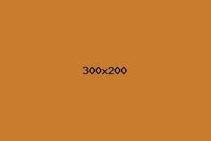 placeholder