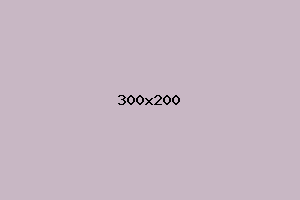 placeholder