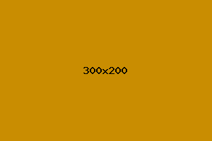 placeholder