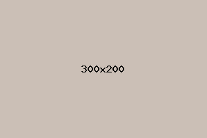 placeholder