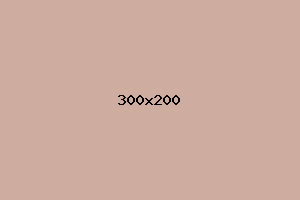 placeholder