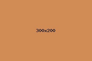 placeholder
