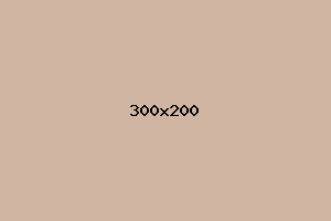 placeholder