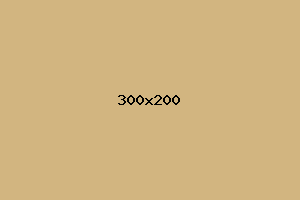placeholder