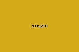 placeholder