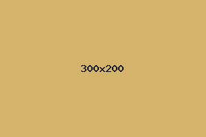 placeholder