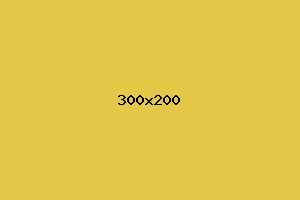 placeholder