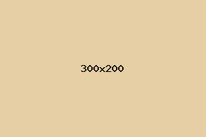 placeholder