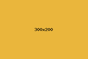 placeholder